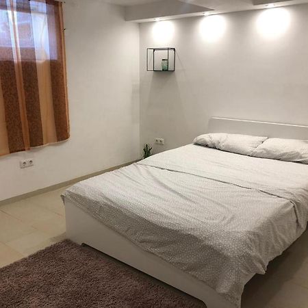 Bescheidene Untergeschoss Wohnung In Guter Lage. 科隆 外观 照片