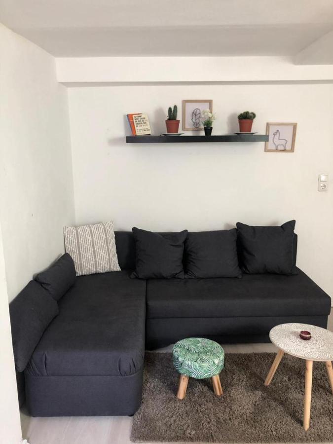 Bescheidene Untergeschoss Wohnung In Guter Lage. 科隆 外观 照片