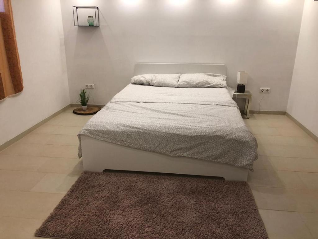 Bescheidene Untergeschoss Wohnung In Guter Lage. 科隆 外观 照片