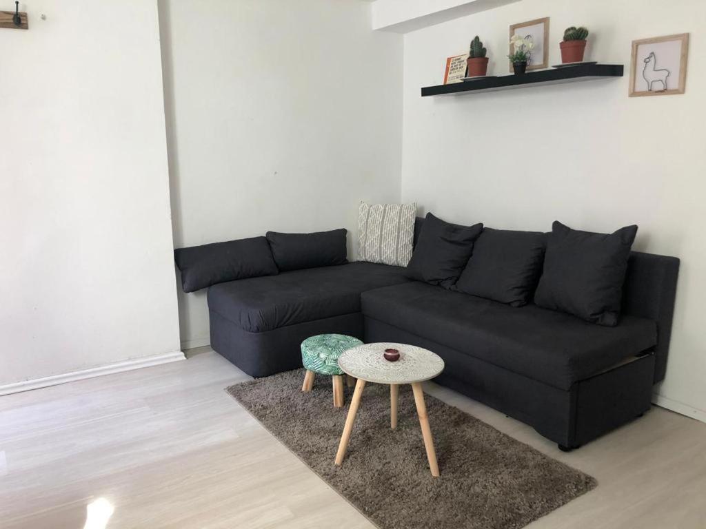 Bescheidene Untergeschoss Wohnung In Guter Lage. 科隆 外观 照片