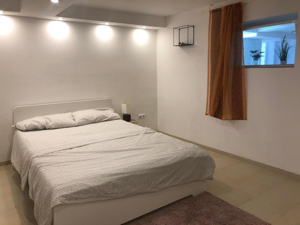 Bescheidene Untergeschoss Wohnung In Guter Lage. 科隆 外观 照片